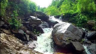 Background Video No Copyright | Air Sungai Mengalir Menyusuri Bebatuan