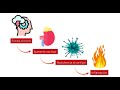 Química cerebral / Psicoseguridad