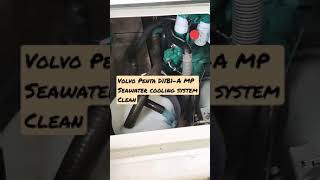 Volvo Penta D11B1-A MP Seawater cooling system Clean