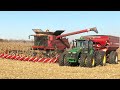 Corn Harvest 2020 | Case IH 7230 Axial Flow Combine Harvesting Corn | Ontario, Canada