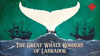 The Great Whale Robbery of Labrador