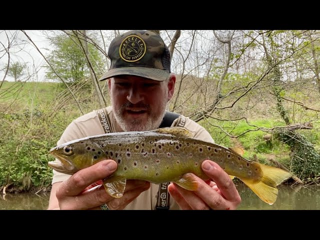 Trout fishing season opened. Lure fishing in a tiny river using BFS setup 