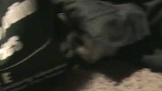 Lela hiding by DarkElfMairead 1,273 views 14 years ago 14 seconds