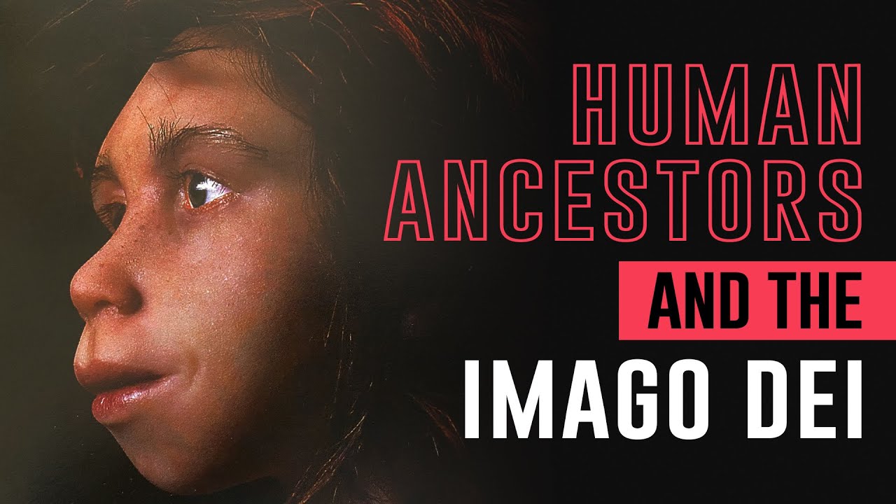 Human Ancestors and the Imago Dei