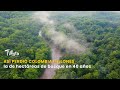 Así perdió colombia millones de hectáreas de bosque en 40 años - TvAgro por Juan Gonzalo Angel