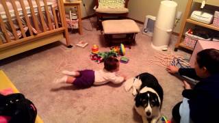 Lilys first crawl
