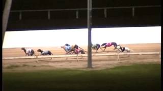 Rockhampton-11032015-Race-4