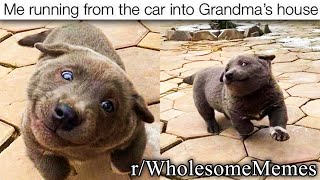 r/WholesomeMemes | most adorable posts on the internet