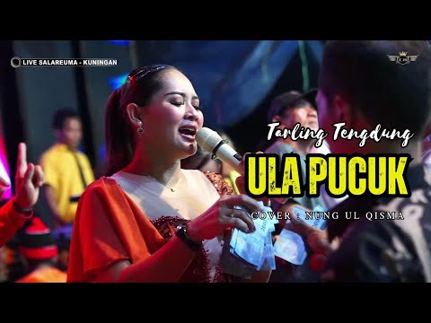 ULA PUCUK ~ NUNG UL QISMA // CITRA NADA LIVE DESA SALAREUMA (DUSUN WAGE) // CIPICUNG - KUNINGAN