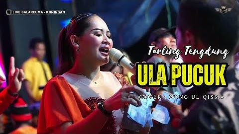 ULA PUCUK ~ NUNG UL QISMA // CITRA NADA LIVE DESA SALAREUMA (DUSUN WAGE) // CIPICUNG - KUNINGAN