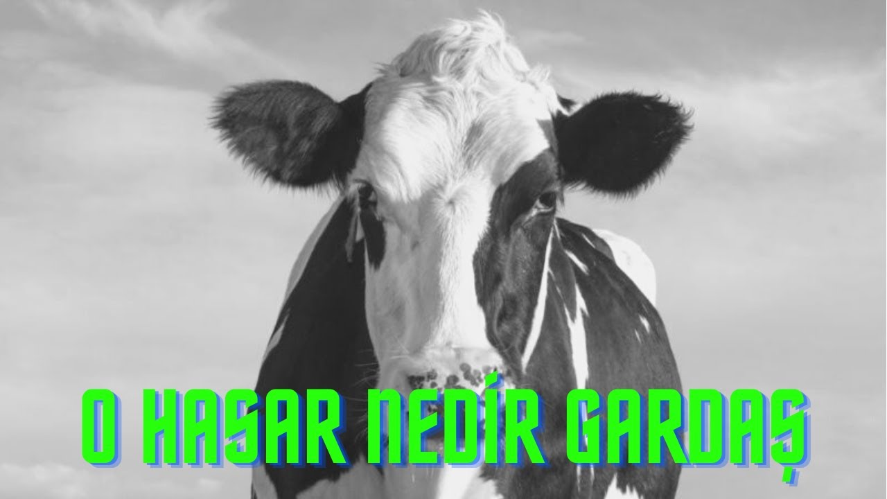 O HASAR NEDİR ÖYLE YAHU! @Cmaclord