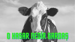 O HASAR NEDİR ÖYLE YAHU! @Cmaclord