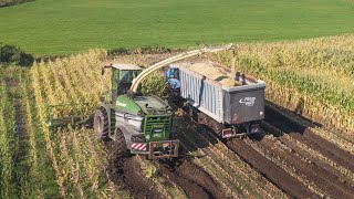 The Most Powerful Forage Harvester Of Belgium In The Mud  Mais 2021  Krone Big X1180