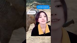 내 콧구멍이 멈추지 않는 탓일까 ㅜ.ㅜ