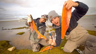 Eating RAW Fish!! (Catch + dont Cook = Arctic SUSHI)