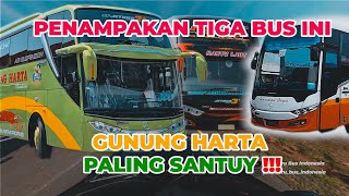 Hikmah Babe Telat  Ketemu Bus Gunung Harta Tronton  Harapan Jaya Scorpion  Hantu Laut 