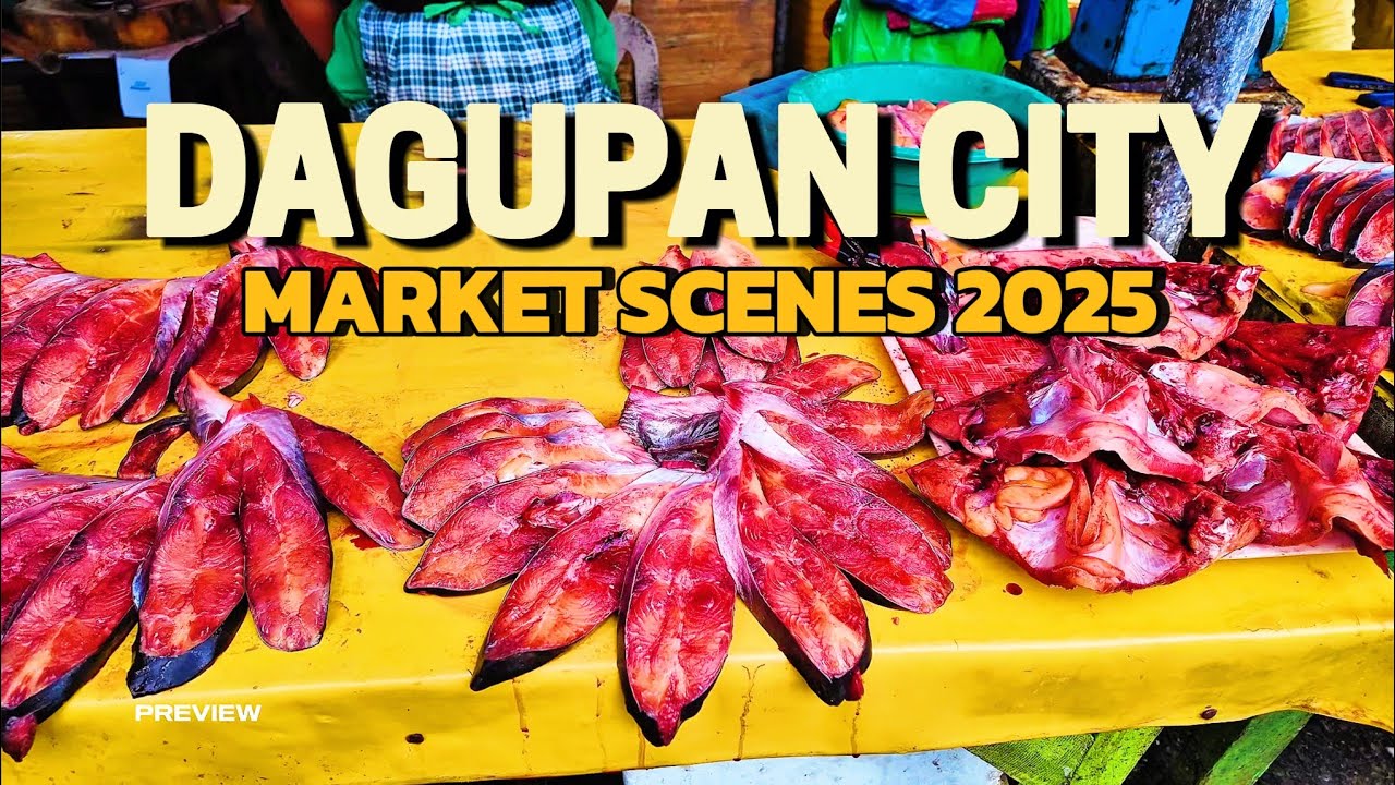 Street Food and Market Walking Scenes - in DAGUPAN CITY PANGASINAN PHILIPPINES 2025
