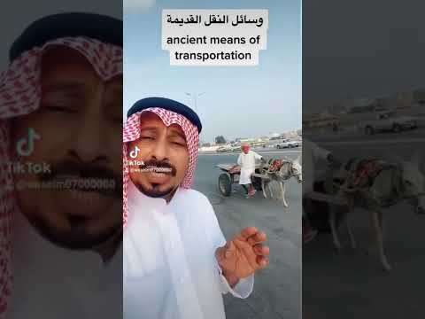 تيكتوك وسيم الجنوب ضيفوني 