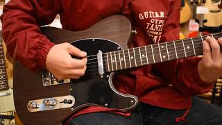 NEW/Bacchus BTE-TW＠guitarshoptantan