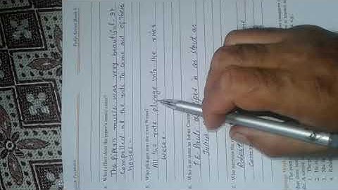 class 5th English The Pied piper of hamelin Ex Q 4 ,5,6,7