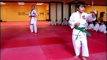 Karate 5th Kyu Test