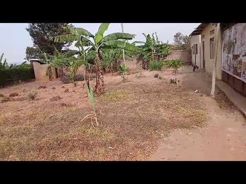 PRIME COMMERCIAL PLOT FOR SALE – NYAMATA, BUGESERA Ref Nyamata 00055
