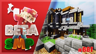 BetaSMP - #001 We Are Back