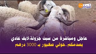 عاجل ومباشرة من سبت جزولةلايف غادي يصدمكمحولي صغيور بـ 3000 درهم