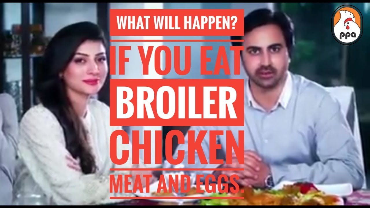 WHAT WILL HAPPEN? IF YOU EAT BROILER CHICKEN MEAT AND EGGS YouTube