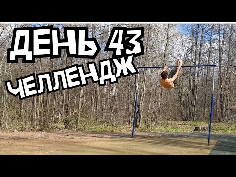 видео: Не перестану снимать челлендж пока борода не вырастет #calisthenics