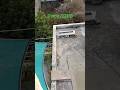 loom solar panel shark 55 watt 12volt price-2300 rupees