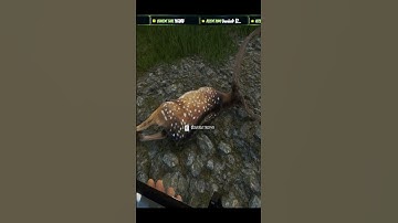 NEVER Do This To A Diamond... 🤦‍♂️🦌 Call of the wild #shorts