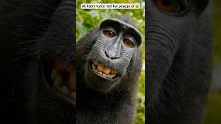 Maa Ne Nalayak Bete Ke Upar Sahi Nirnay Liya