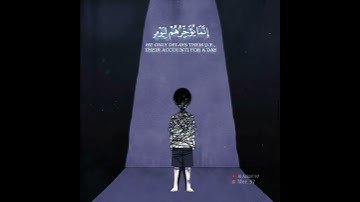 لمن ضاق صدره" قرآن كريم حالات واتس اب دينية 💛