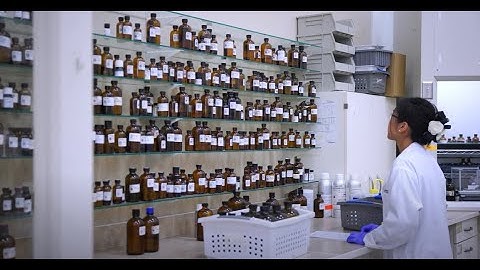 Encapsulation Technology for Flavor Impact and Enhancement