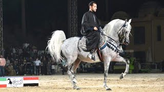 عدنان الصباح و محمد مدحت البيطار بطولة مصر الدولية لأدب الخيول العربية