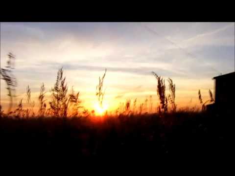 Tranquila - Arp, 303, Blofeld, original ambient electronica