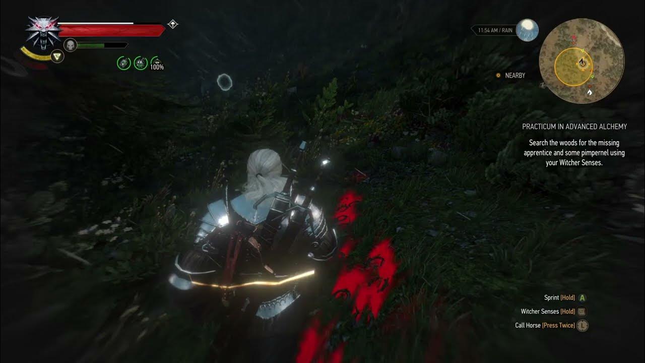 The Witcher 3 Geralt decides to fistfight two wolves YouTube
