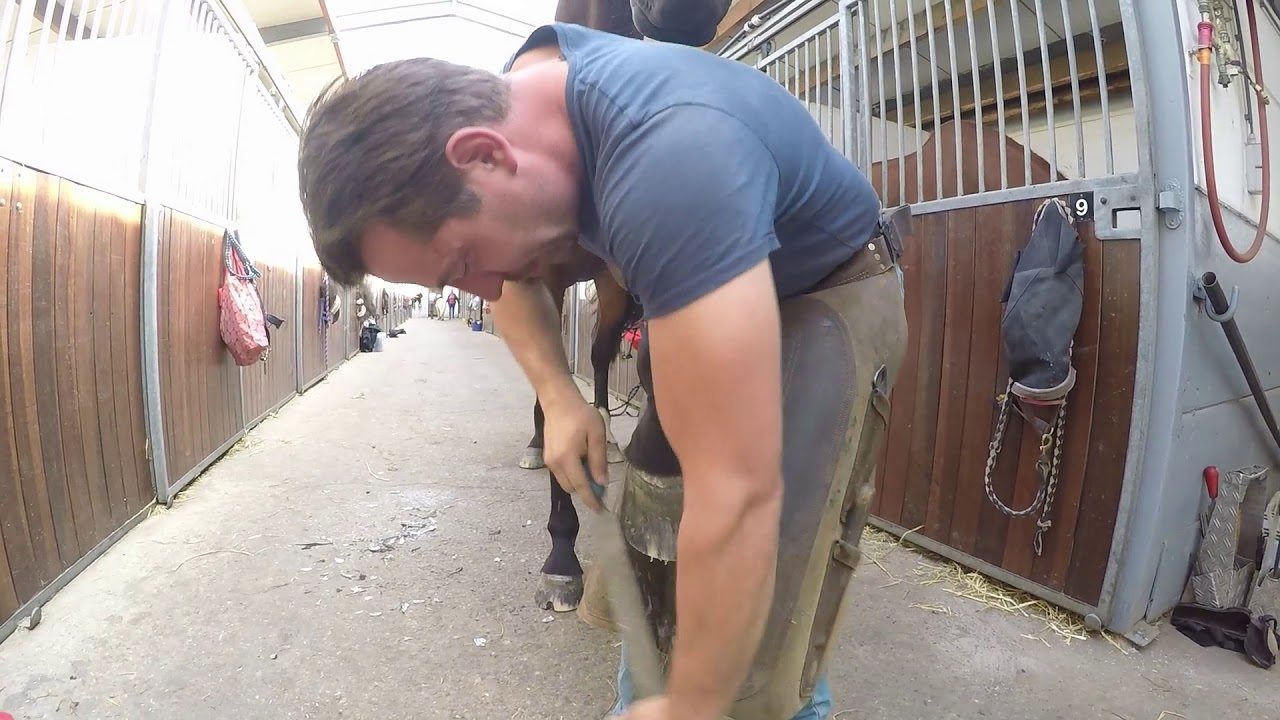 Vlog #18 Hippisch Centrum Hoeksche Waard