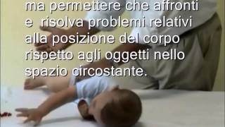 La Culla Premesse 22