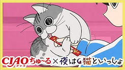 アニメ 夜は猫といっしょ チャンネル Youtube