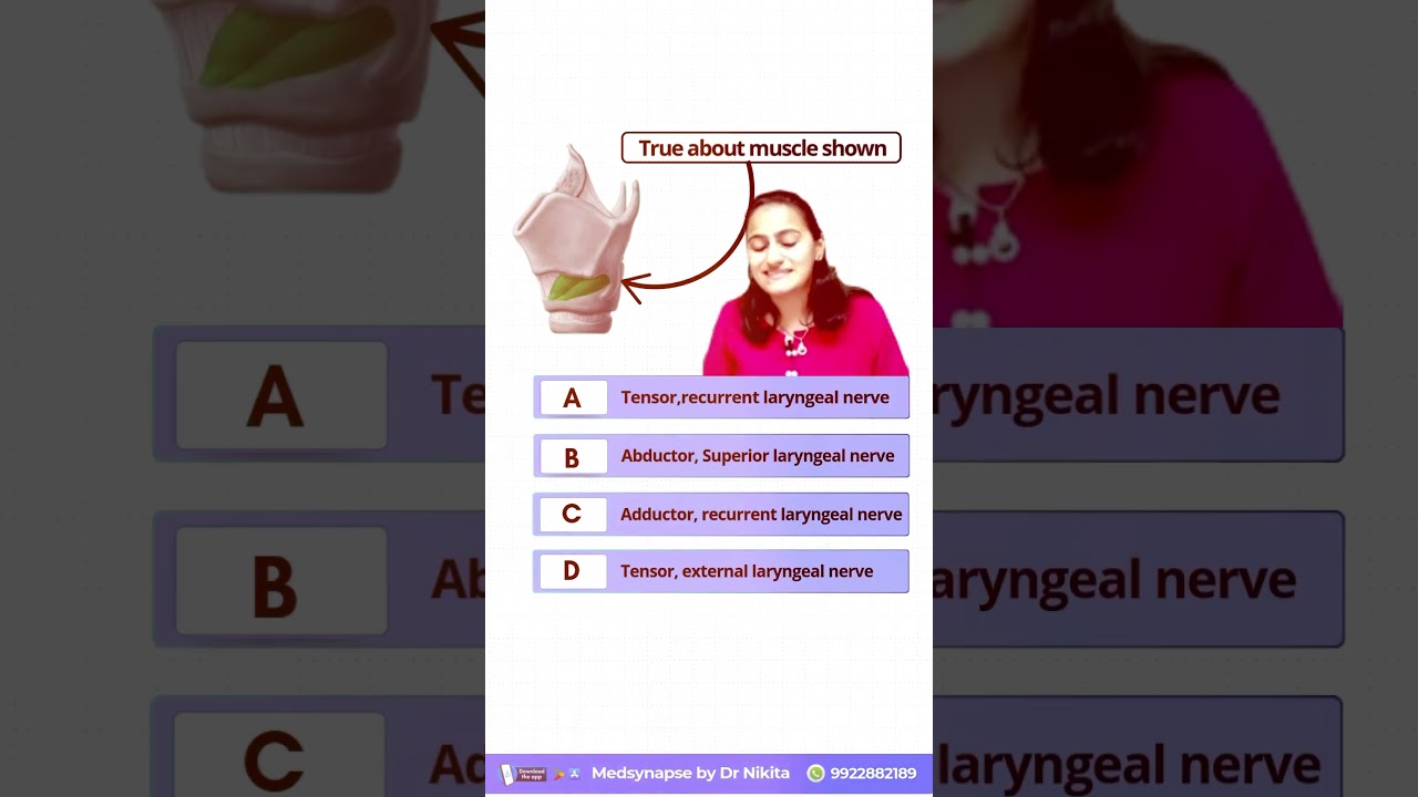 preview_player