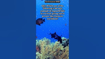 UPSC Environment PYQ 10🔍 | #prelims  #environment  #upsc #upscshorts #bpsc #statepcs