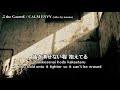 The gazette  calm envy jpromeng lyrics