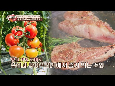 꿀 조합🍯 &amp;#39;<strong>양고기</strong>&amp;#39;와 &amp;#39;토마토&amp;#39;의 <strong>이유</strong> 있는 컬래버레이션! #협찬 육자회담(meatlove) 3회
