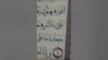 دقيقه واحده احترم القران الكريم من فضلك استمع 🤚 ثواني