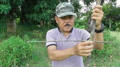 jebakan dari bambu untuk bermacam madam burung
