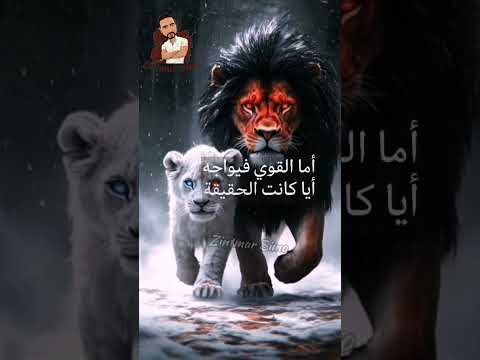 لا تلتفت يمينا أو يسارا معلومات عامة كلام من ذهب اقتباسات اكسبلور اشتراك حكمة اليوم لايك