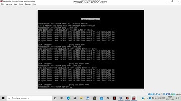 Instalasi dan Konfigurasi IP ADDRESS, DHCP Server, DNS Server, dan HTTPS Server pada linux debian