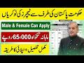 Federal Government Teaching Jobs 2026 in Pakistan | Teaching Jobs in Pakistan 2026 | Daanish School